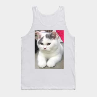 the chubby white cats Tank Top